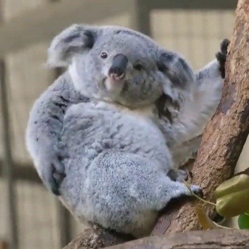 Nettspend - a to b (filthygenes)