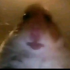 فـهـد✓ 『m』