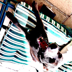 vakansie bybel skool