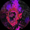 juststopp1