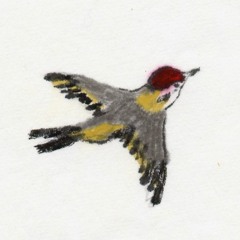 По Волі Мінору