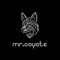 mr.coyote