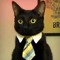 epic cat