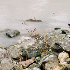 taso_the_wanderer