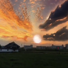 danzich