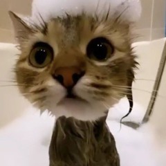 смех ребенка