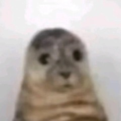 Danichu