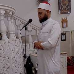 الشيخ عمرو عبدالعاطي