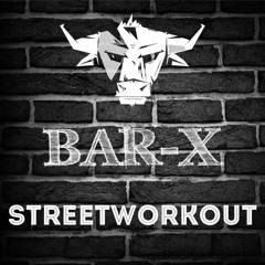 BAR-X