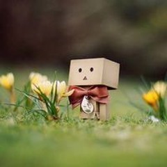 Nguyễn Hữu Nhật Quý