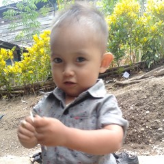 bopenk