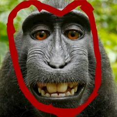 MONKEY_SHIT_EATER