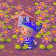 blazeflower
