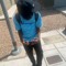 Litgioo