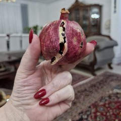 Shahla Hojati