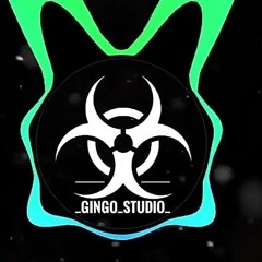 _gingo_studio_