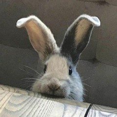 Lil