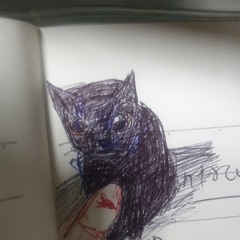 kitty