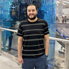 Ibrahim metwally