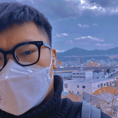 Việt Vũ