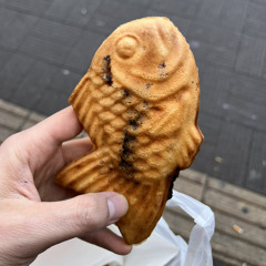 llingo