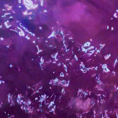 Guilotic