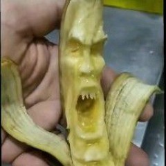 Magorhaga