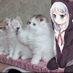 saint