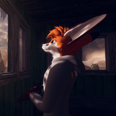 Chip the Fox (Chip)