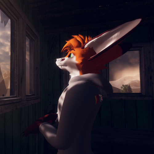 Chip the Fox (Chip)’s avatar