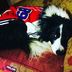 Molly