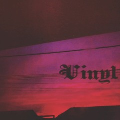 𝖁𝖎𝖓𝖞𝖑📀