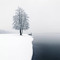 User 6677