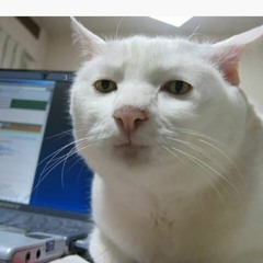 William Wilde Andersen