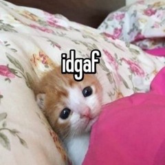 adi.xcx