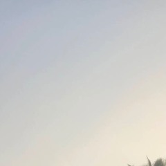 Cigat