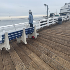 searching