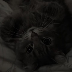 bez