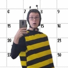 Brady Bee