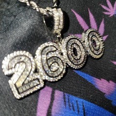 Lil Hippy 2600