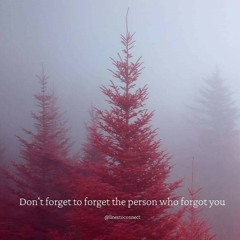 chan o ky chan haseeb chan