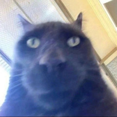 аюб