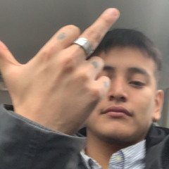 Tulis
