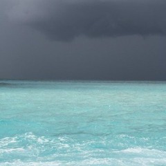 charity point