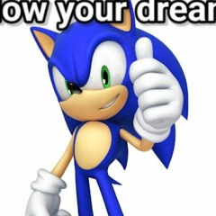 Sonic tts guy
