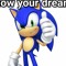 Sonic tts guy