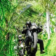 I Komang Ariasa