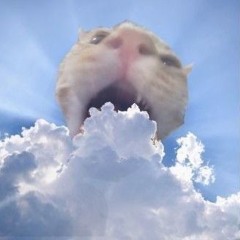 o1ktor