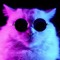 The Groove Cat
