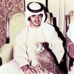 Salem Almansoori